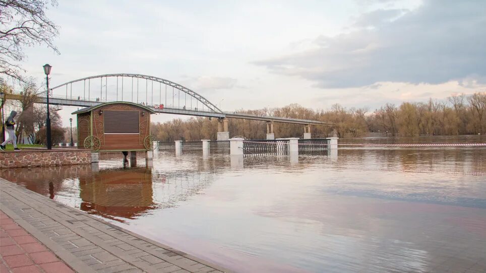 Уровень воды смоленск сож. Паводок. Половодье в Гомеле набережная. Набережная в Гомеле паводок. Река вышла из берегов.