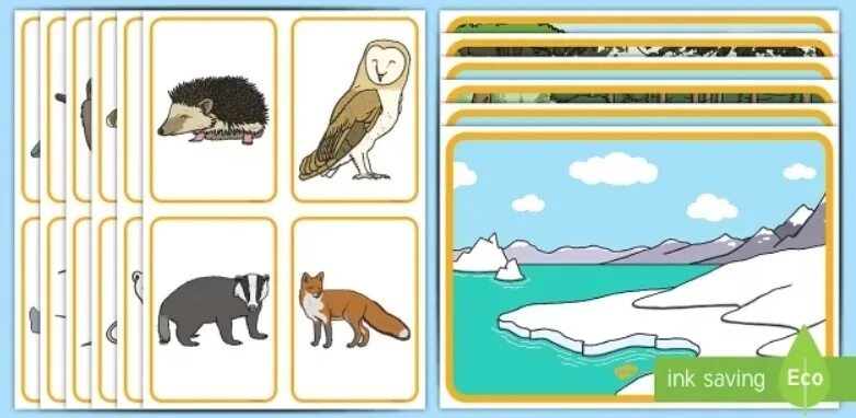 Animals and their Habitats. Habitats Flashcards. Animals Habitats Flashcards. Animal Habitat for Kids.