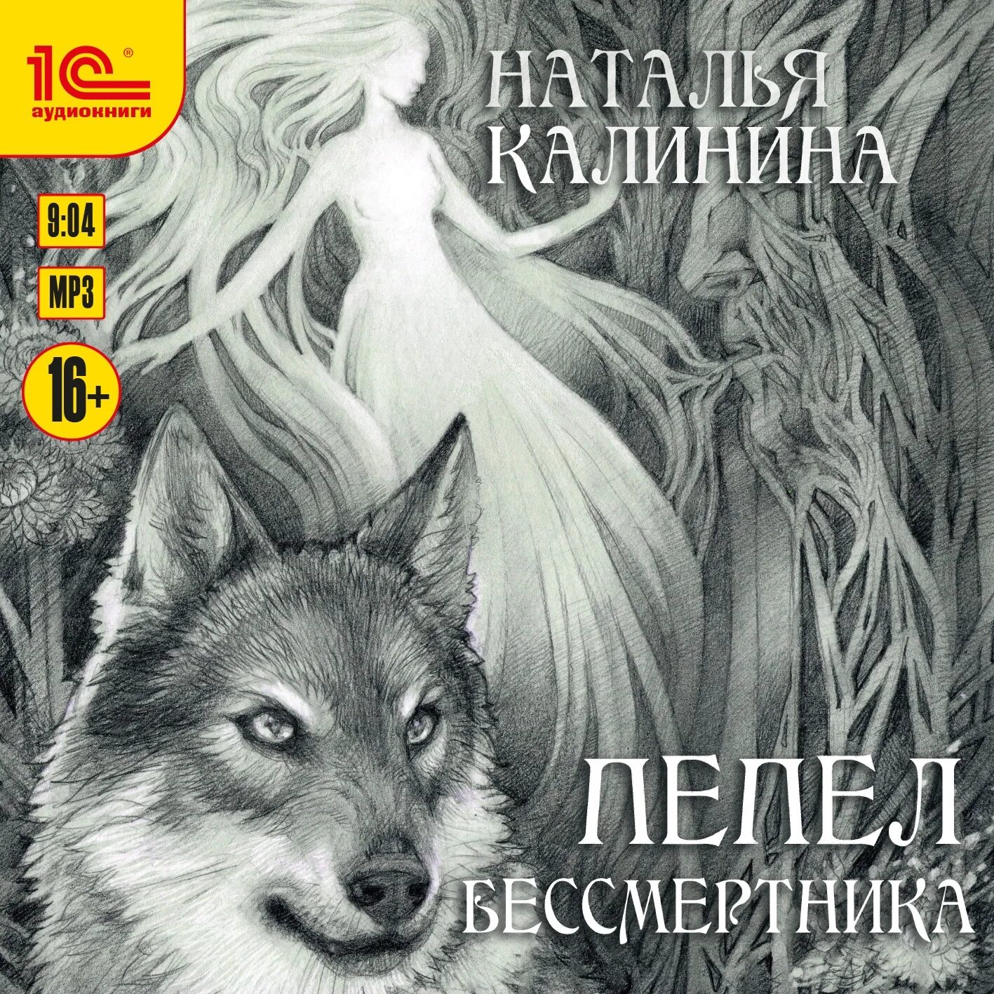 Желтый бессмертник песчаный засушенный. Бессмертник итальянский helichrysum italicum. Бессмертник песчаный сырье. Бессмертник песчаный (цмин). Пепел бессмертника.