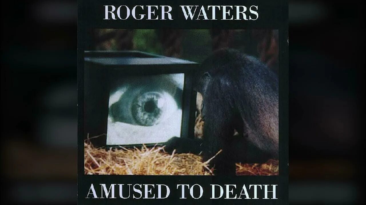 Amused to death. Amused to Death 1992. Roger Waters "amused to Death". Amused to Death Роджер Уотерс обложка. Roger Waters - amused to Death 1992 обложка альбома.