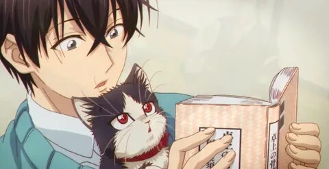 Doukyonin wa hiza tokidoki atama no ue