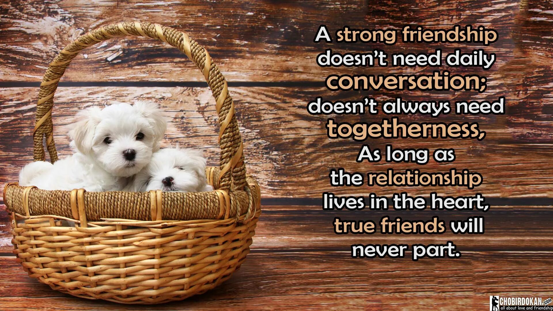 Friendship quotes. Sayings about Friendship. True Friendship. Strong Friendship.