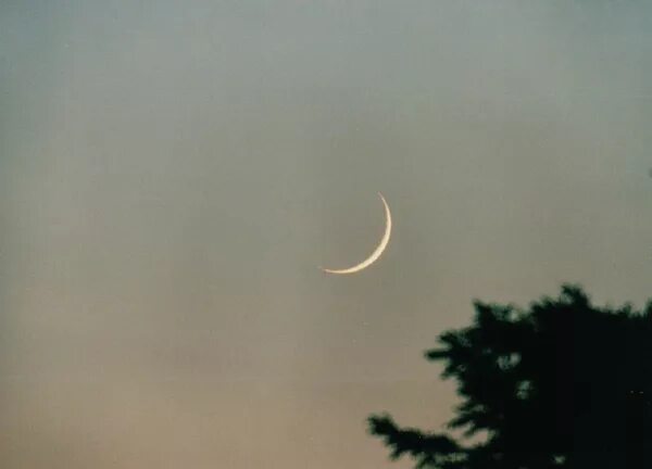 сейчас месяц молодой