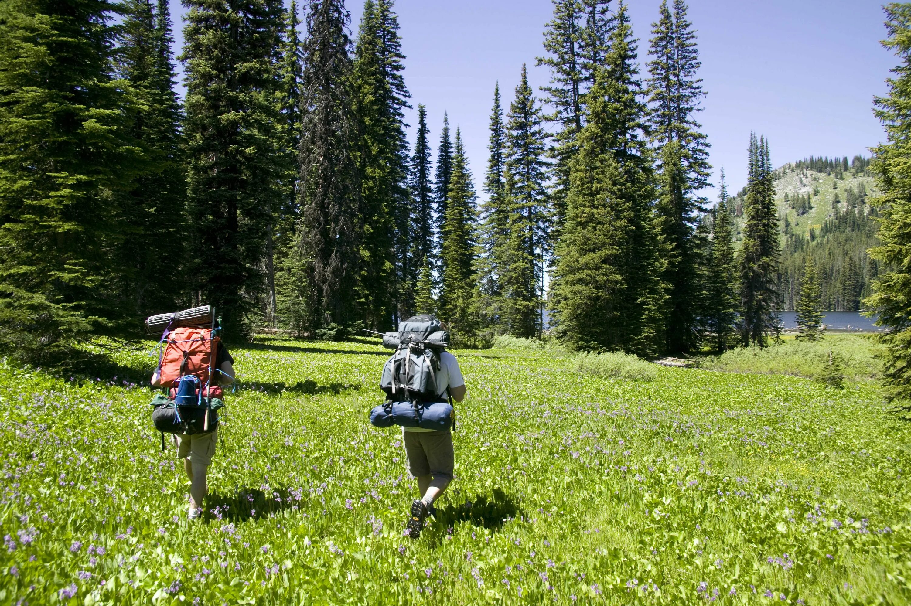 Tourism ecotourism. Пеший поход экотуризм. Экологический туризм. Познавательный экотуризм. Экологический туризм в России.