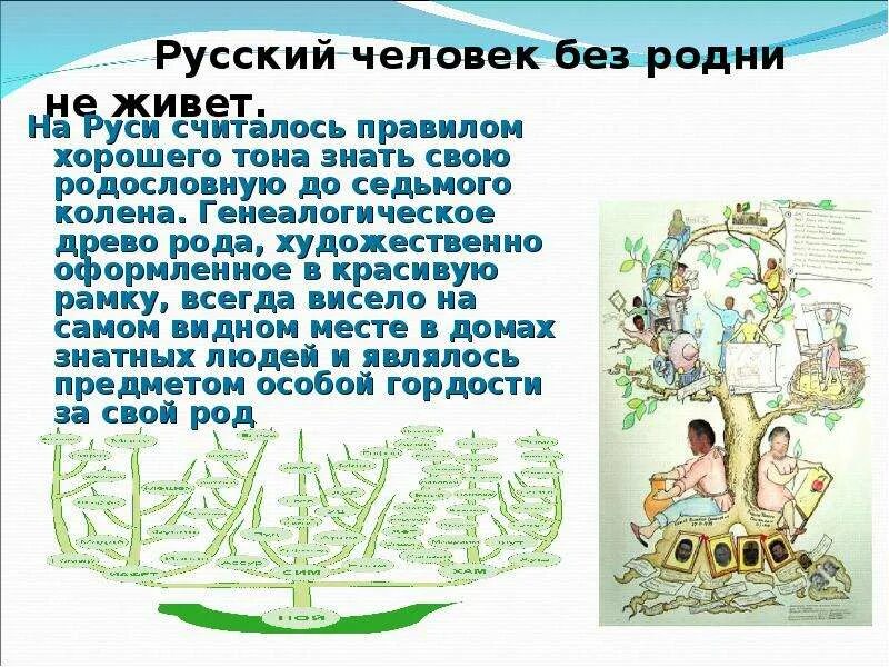 Род до седьмого колена. Родовое дерево до 7 колена. Древо до седьмого колена. Колено (генеалогия).