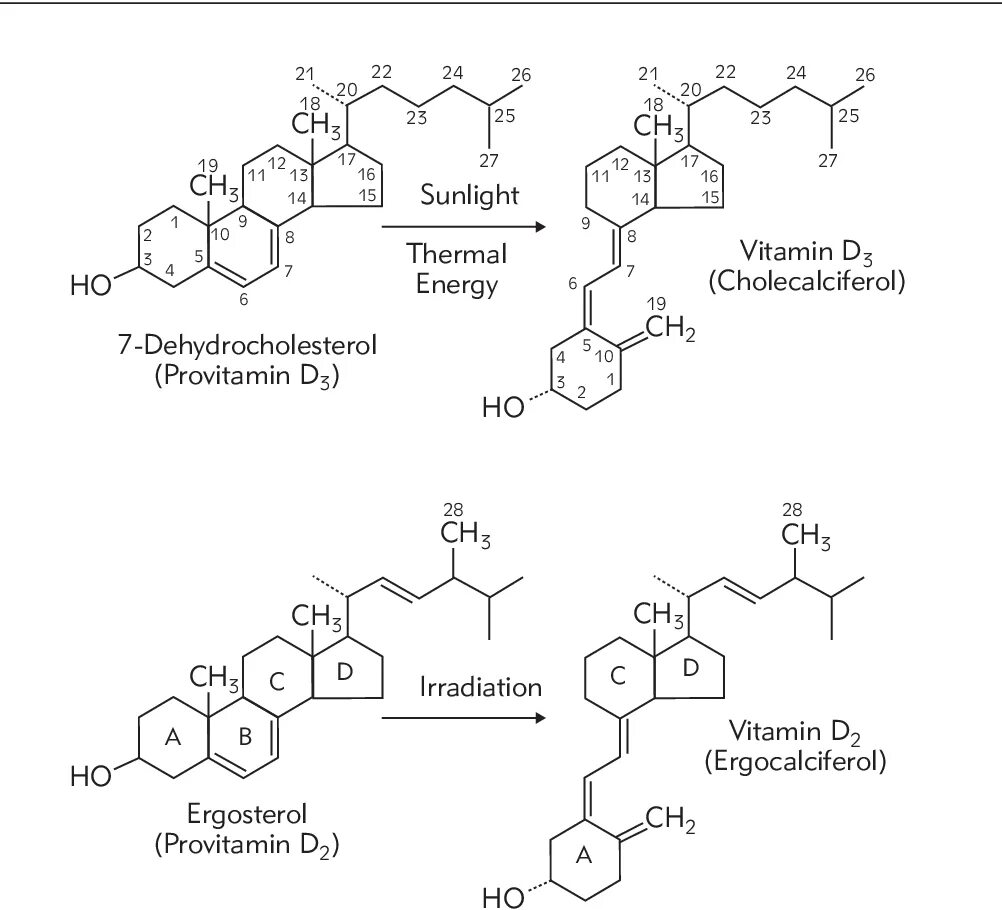 Витамин d3 формула холекальциферол. D2 (эргокальциферол. Витамин д2 эргокальциферол. Эргокальциферол витамин d2 формула. Реакция на витамин д
