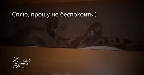 Беспокоить иногда
