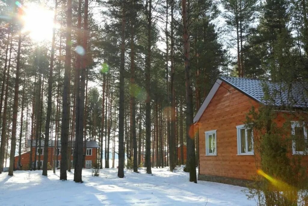 База отдыха Степаново Череповецкий район. База отдыха Степаново Череповец. База отдыха стёпаново Вологодская область. База отдыха Степаново Череповец баня. Д степаново