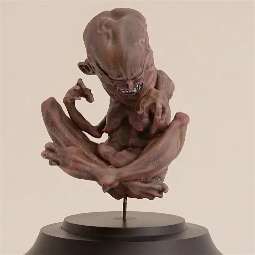Homunculus