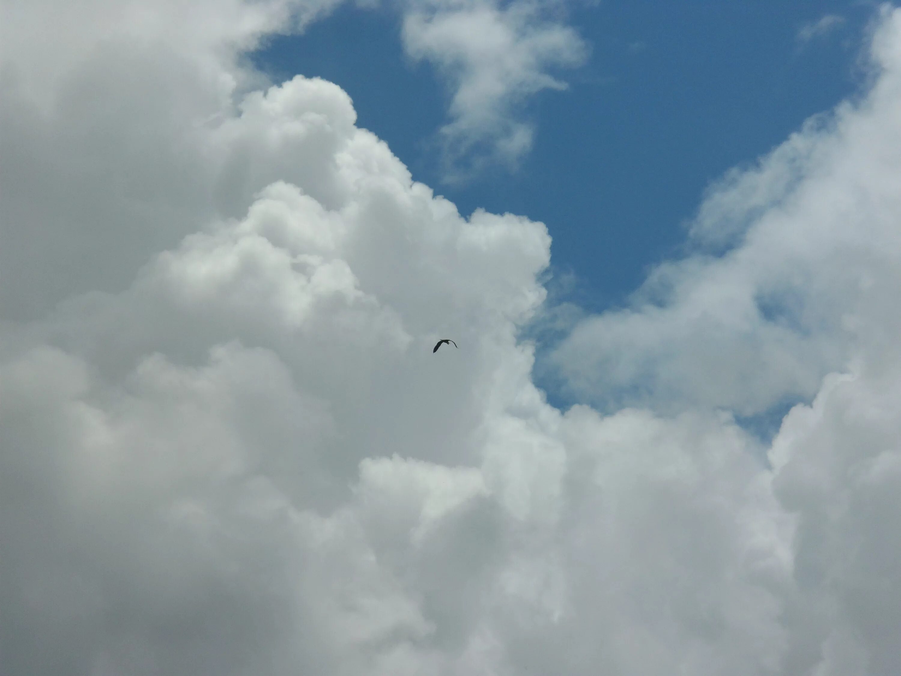 Flying cloud