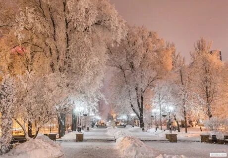 Когда день города в зиме