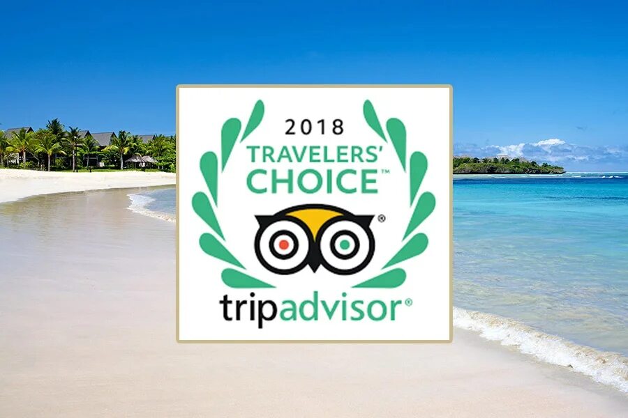 Traveler&#039;s choice. Tripadvisor travellers&#039; choice. tripadvisor choice. tripadvisor travelers’ choice 2025 логотип. tripadvisor choice 2025.