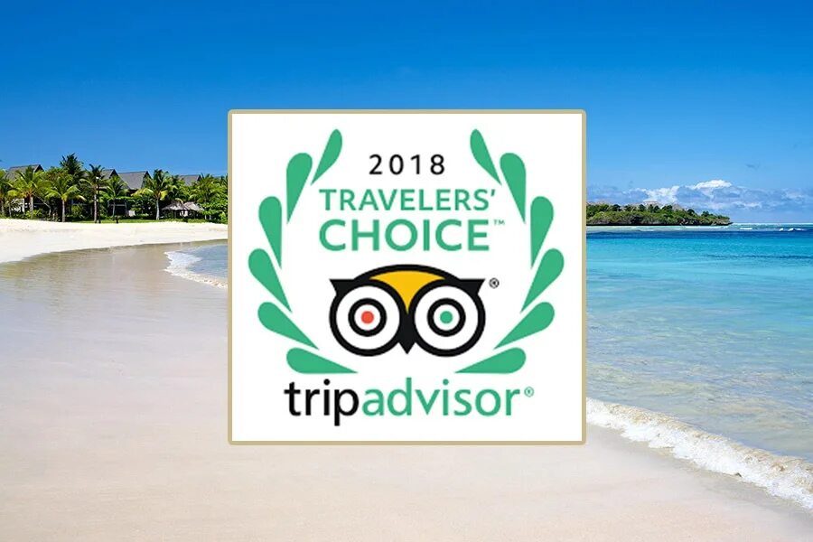 Travel choice. TRIPADVISOR travellers choice 2021. TRIPADVISOR travellers' choice. TRIPADVISOR choice. TRIPADVISOR travelers’ choice 2021 логотип.