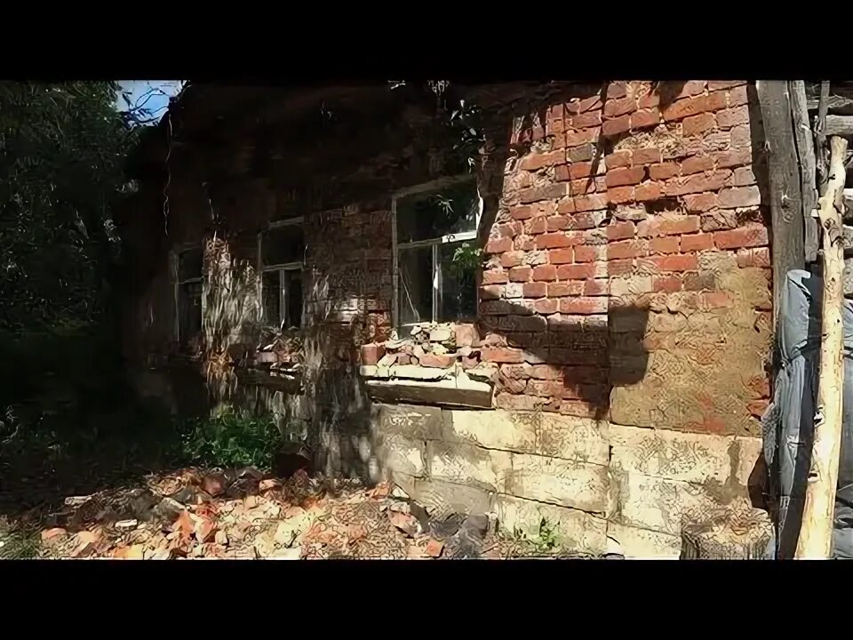 Деревня донце. Деревня донце. Деревня донце. Деревня донец. Деревня владычкино лужский район кладбище.