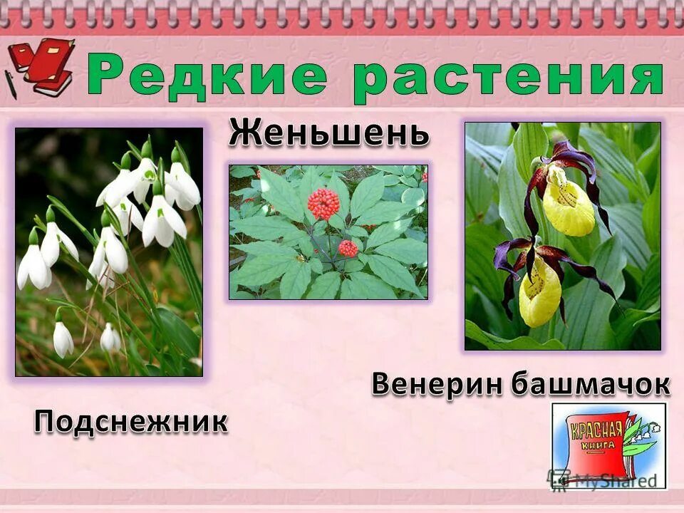 Список редких растений