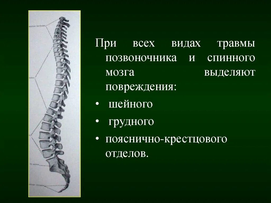 Сотрясение спинного. Повреждение грудного отдела спинного мозга. Перелом позвоночника с повреждением спинного мозга. Травма спинного мозга грудного отдела. Повреждение шейного отдела спинного мозга.