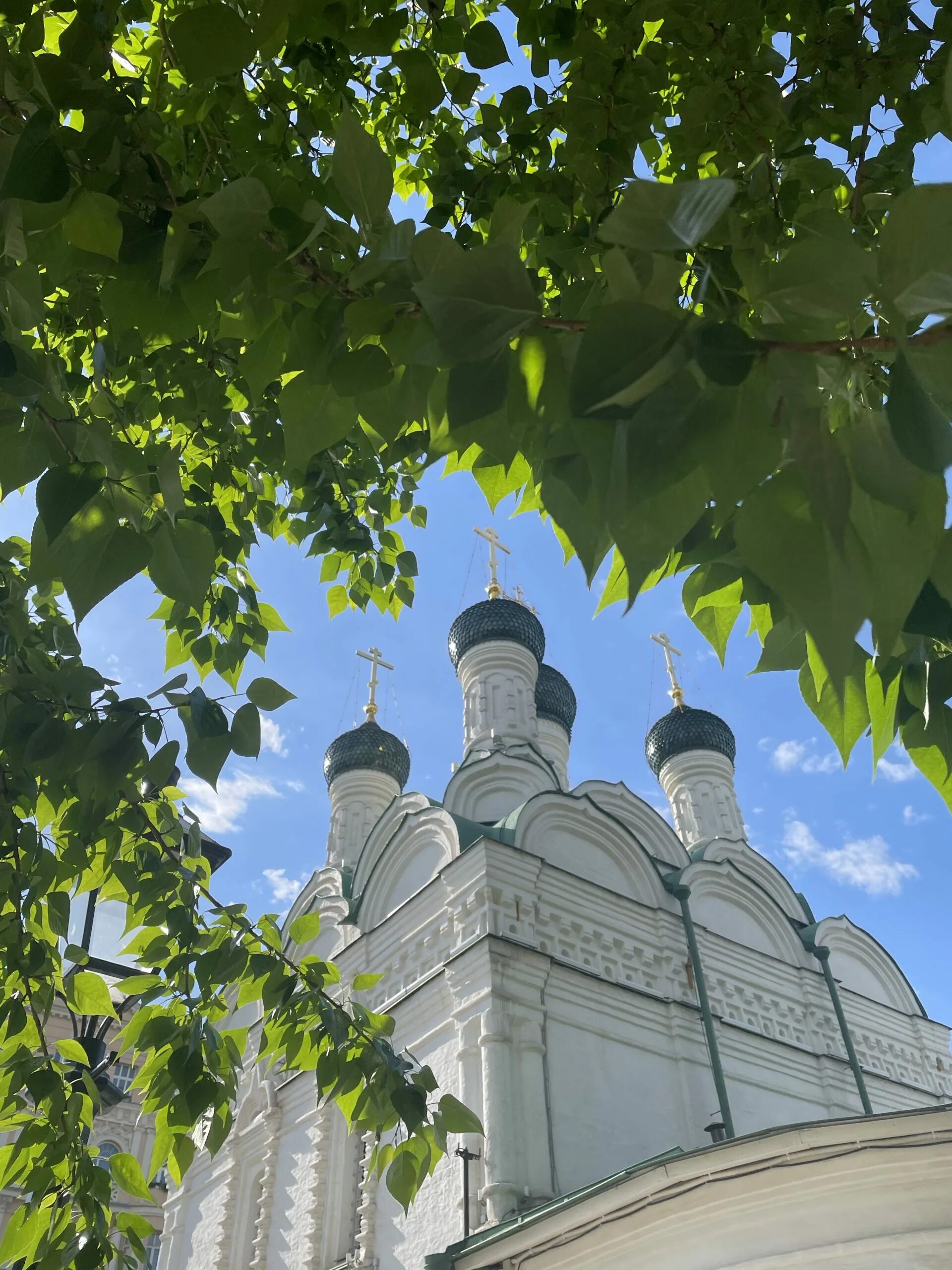 Храм усекновения главы предтечи под бором. Соловки храм усекновения главы. фотографию отца евгения новотроицкой церкви.