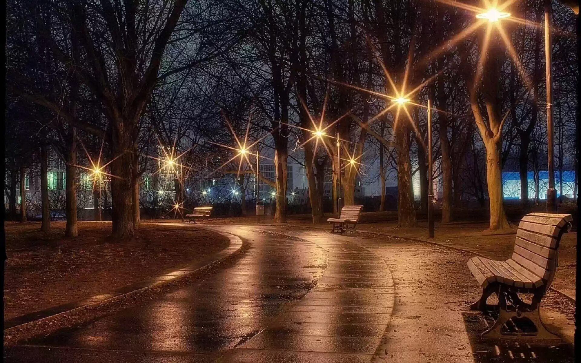 Ладно вечер. Ночной парк. вечерний парк. ночная аллея. фонари в парке.