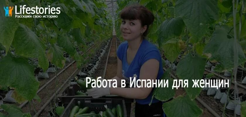Вахта за границу без знания языка. Работа за рубежом для русских вакансии без знания языка 2025. работа за границей без знания языка для женщин. работа в испании без знания языка для таджиков. работа за границей без знания языка для женщин вакансии.
