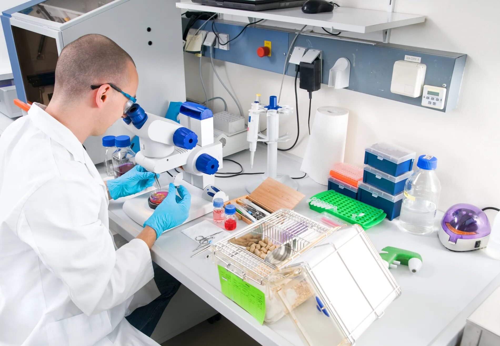 Инженер лаборант. Деятельность медицинских лабораторий. Лаборатория исследования. Клиническая лаборатория. Лаборатория исследования.