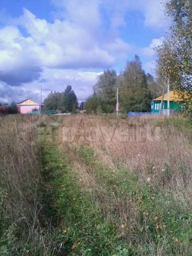 Погода засечье. Погода засечье. Деревня чевкино рязанская область. Засечье рязанская область. С засечье, ул дачная, 47.