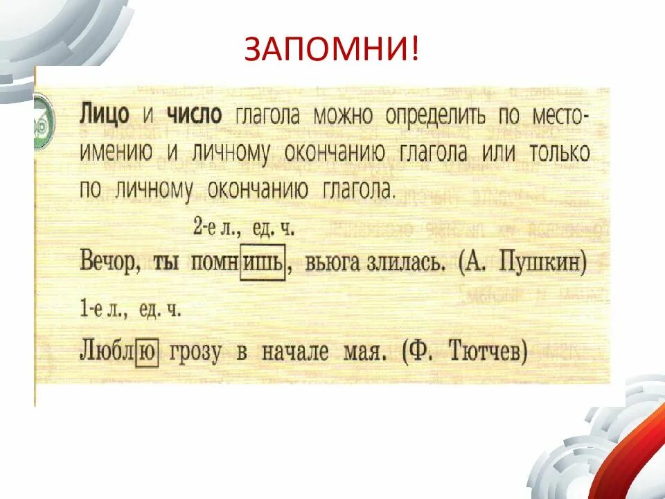 У каких глаголов можно определить лицо. Как определить лицо глагола. Определить лицо глагола. Лицо и число глагола можно определить. Определить лицо и число глаголов.