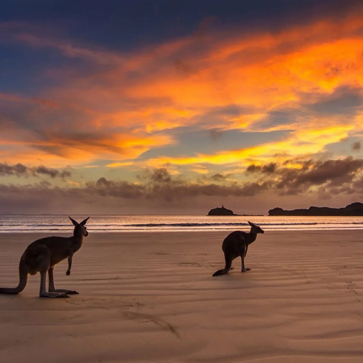 Unique australia