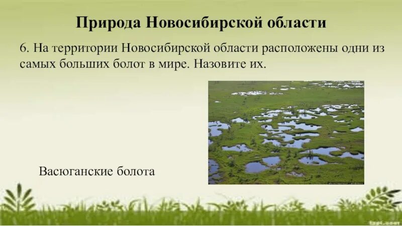 Новосибирская область 4 класс окружающий мир. Новосибирская область 4 класс окружающий мир. Основные отрасли экономики города новосибирска. Новосибирская область презентация. Новосибирская область 4 класс окружающий мир.