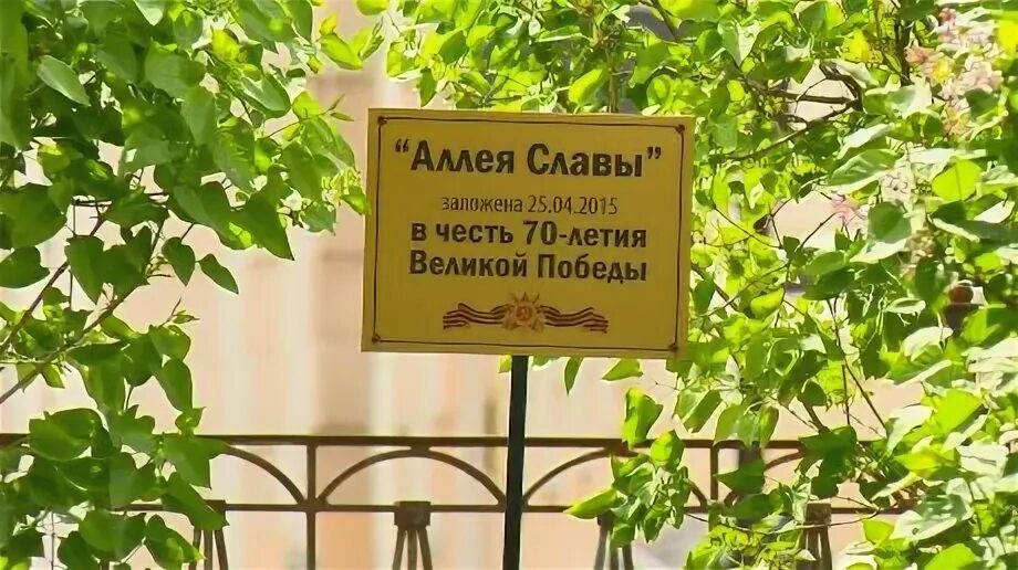 Рассветная аллея 5