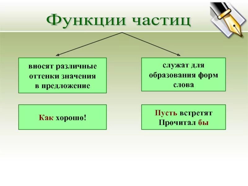 Служила предложение. Функции частиц. Функция частицы в предложении. Частицы и их функции. Функции частиц в русском языке.