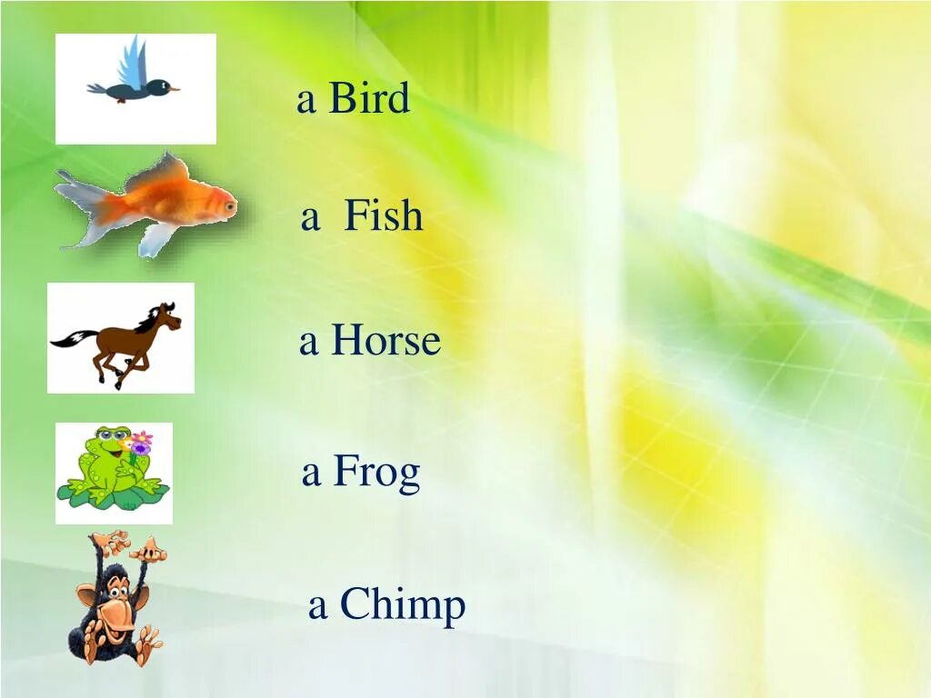 Class animals. Животные на английском языке 2 класс. животные презентация на английском языке. презентация на тему animals. урок английского на тему животные.