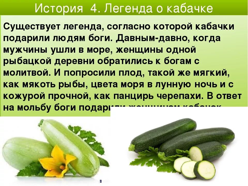Можно ли есть кабачковую