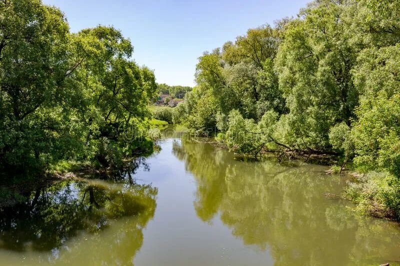 Река лужа в малоярославце. Река в малоярославце. Река в малоярославце. Малоярославец природа бунина. Река в малоярославце.