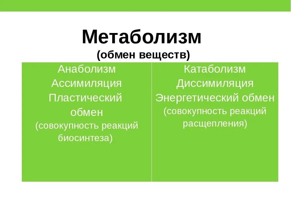 Различия в обмене веществ. Катаболизм и анаболизм. Метаболизм катаболизм и анаболизм. Процессы катаболизма и анаболизма. Понятие анаболизма и катаболизма.