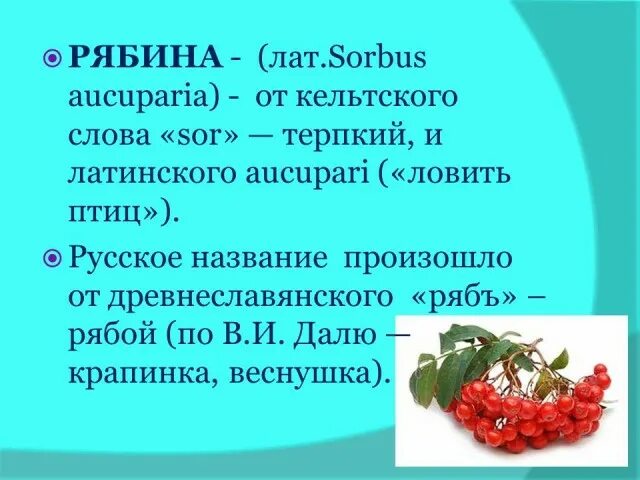 Гроздья рябины текст