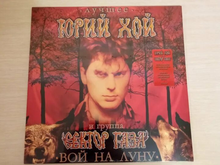 Не вой на луну. Хой собака. Не вой на луну. Не вой на луну. Вой на луну обложка.