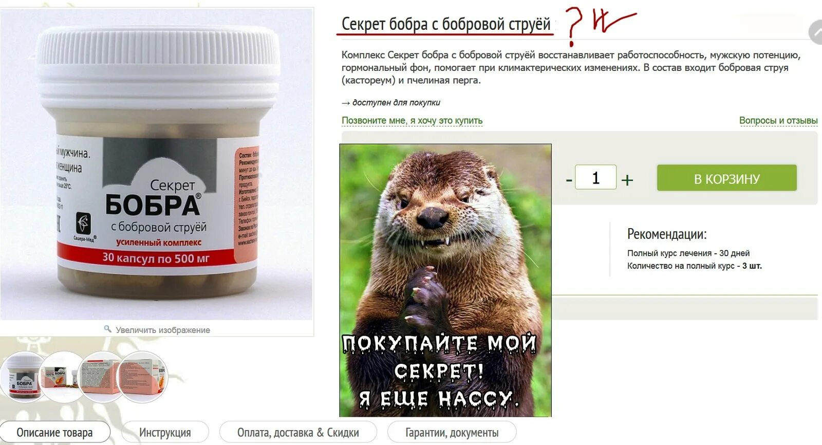 Бобр бай объявления работа. Бобер смешной. секрет бобра прикол. шутки про бобров.