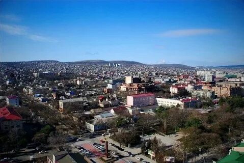 Численность в новороссийске