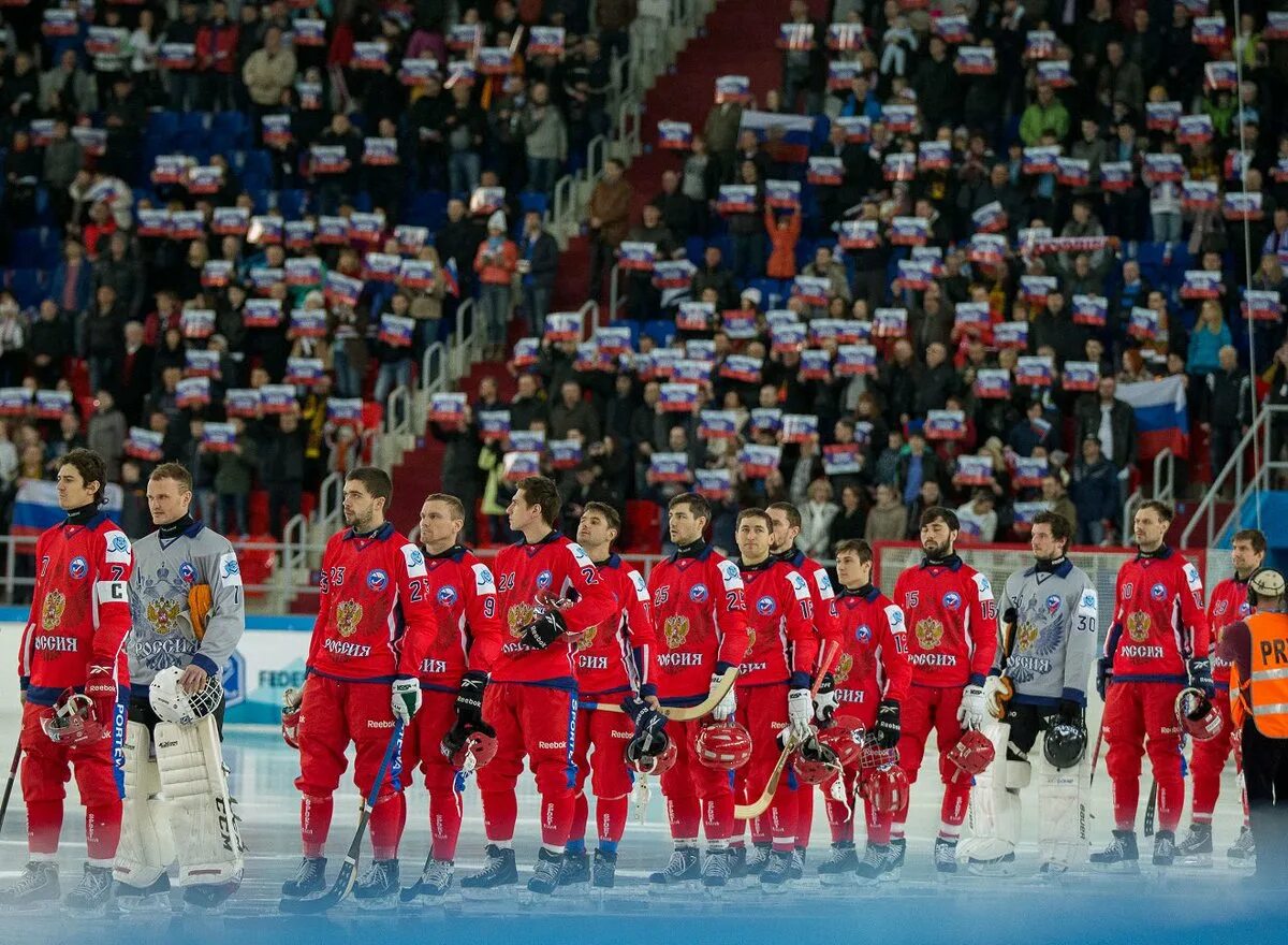 Сколько раз становилась чемпионом сборная команда финляндии. Хоккей с мячом сборная России. Сборная России по хоккею с мячом. Тренер сборной России по хоккею с мячом 2005. ЧМ по хоккею с мячом.