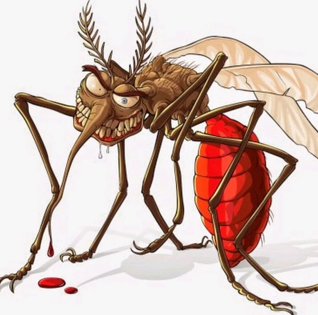 Anopheles stephensi. Надоедливые насекомые. Комар арт. Комары твари. Комар прикол.