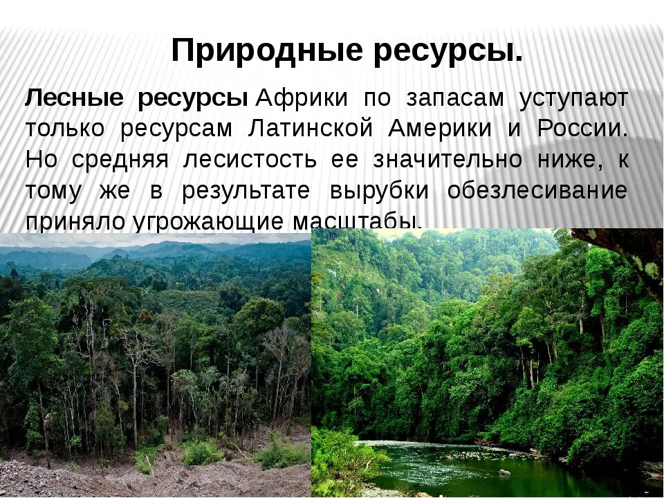 Карта лесных ресурсов Африки. Природные ресурсы Африки. Лесные ресурсы Африки. Лесные ресурсы Африки страны. Южная африка особенности природно ресурсного капитала