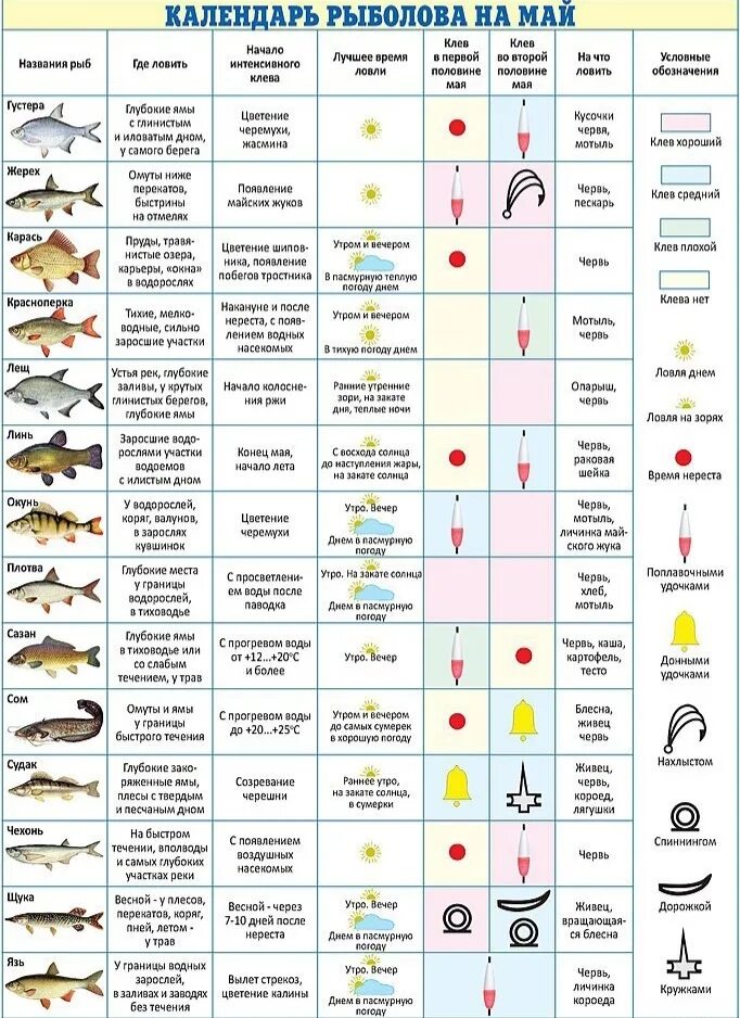 Таблица клева карася. Таблица наживок для рыбалки. Календарь рыбака. Лунный календарь рыболова. Какая рыба ловится весной