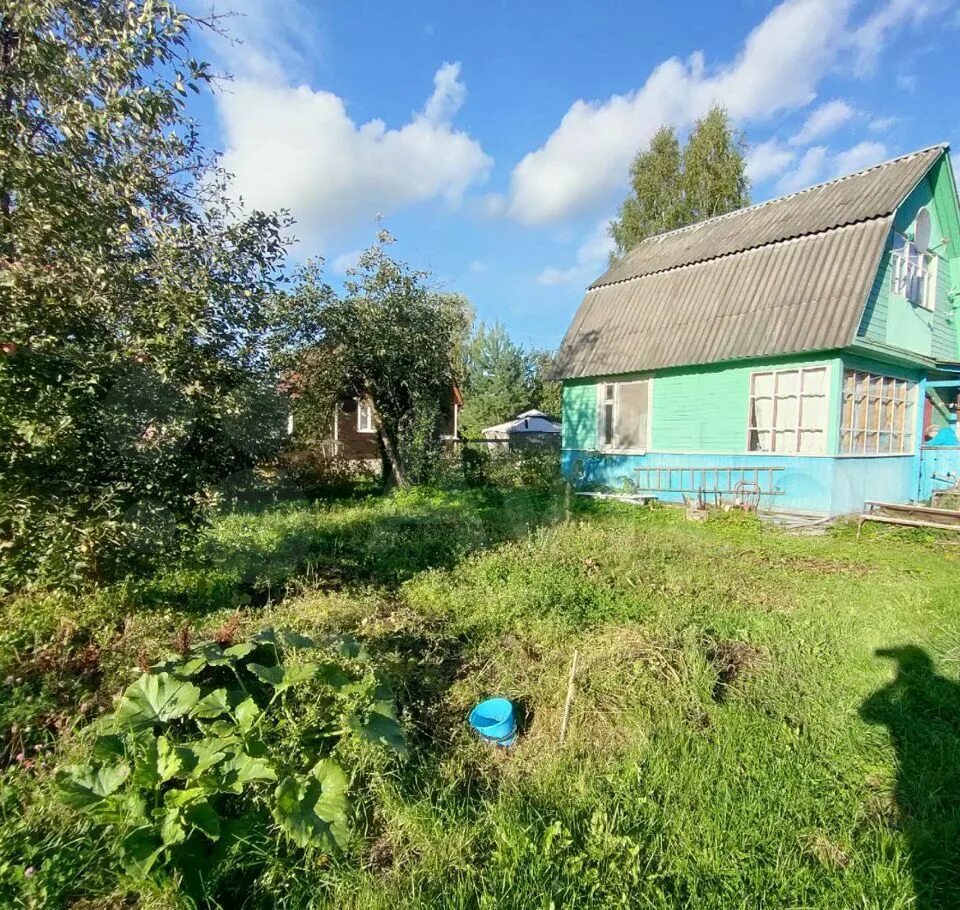 Участок снт чайка. Участок снт чайка. Большое буньково участок. Снт чайка дубна. Участок снт чайка.