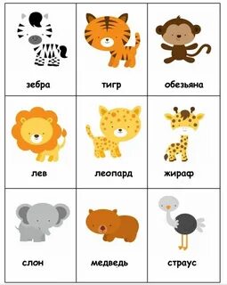 Кто у меня есть животных
