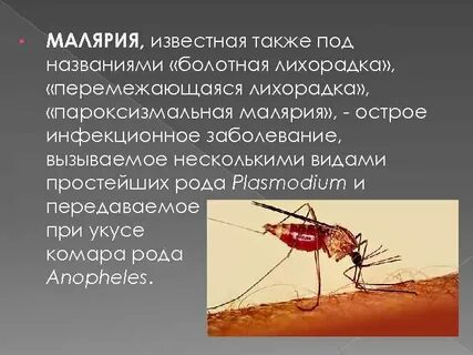 Источником малярии является