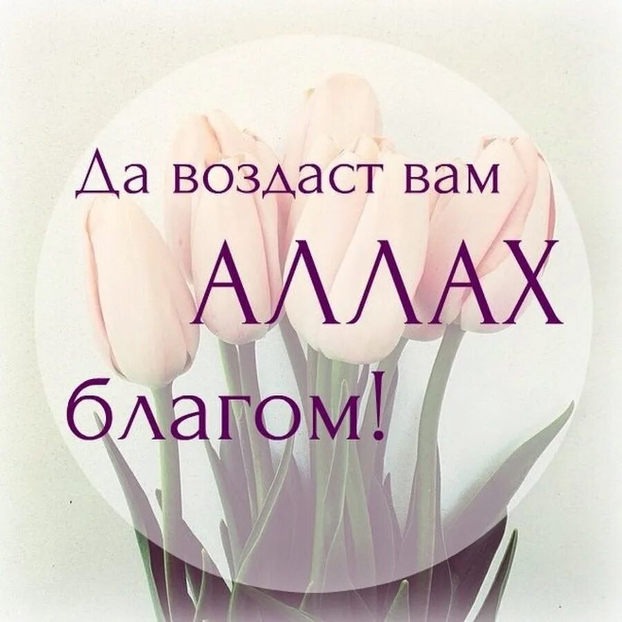 Красивые ассаламу алейкум. Ваалейкум ассалам ва рахматуллахи ва баракатух. Ассаламу алейкум ва рахматуллахи ва ответить. Ас-саляму ‘аляйкум уа рахматуллаhи уа баракатуh. Алейкум ас салам.