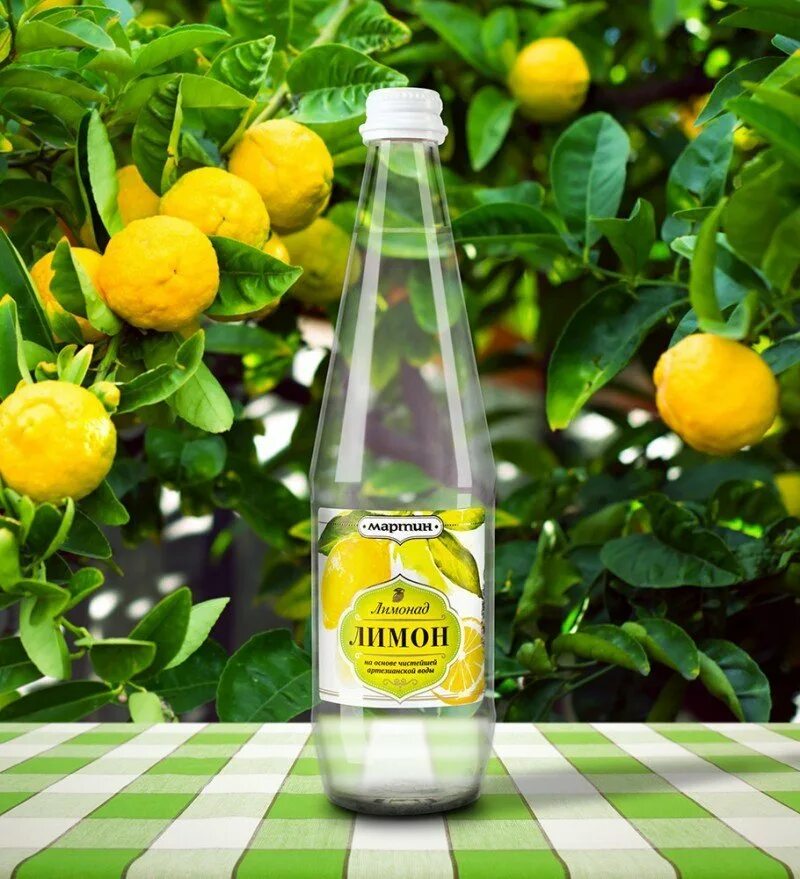 Купить лимон с доставкой. Лимонад Lemon Lemon.