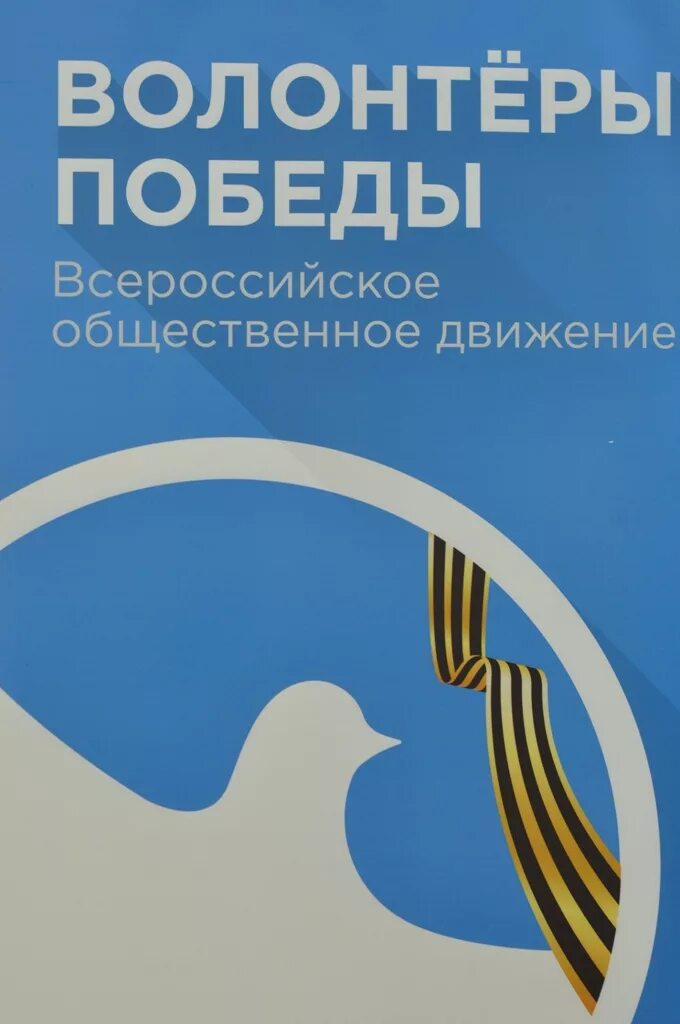 Волонтеры Победы баннер. Волонтеры Победы логотип. Стенд волонтеры Победы.