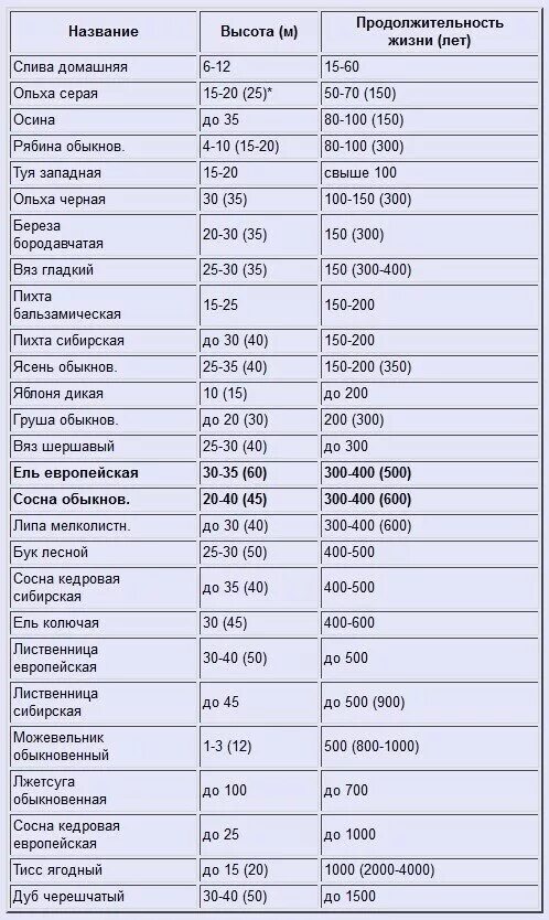 Таблицу жизни деревьев. Клен продолжительность жизни деревьев таблица. дуб продолжительность жизни деревьев таблица. деревья долгожители названия и возраст таблица. продолжительность жизни деревьев таблица 1 класс окружающий мир.