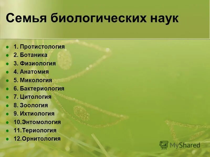 Какие бывают биологические науки 5 класс. Семья биологических наук. Семья биологии биологических наук. Мья биологических наук. Биология - семейство наук.